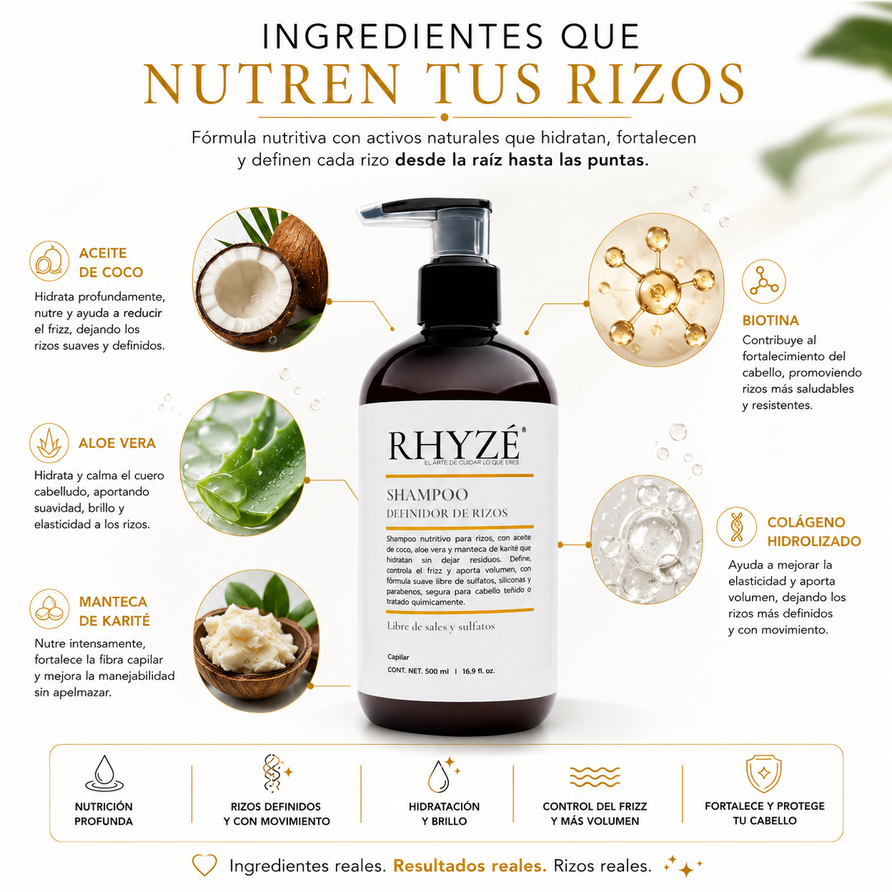 Shampoo Definidor de Rizos RHYZÉ® | Hidratación, control de frizz y definición natural | Libre de sales y sulfatos | 500 ml